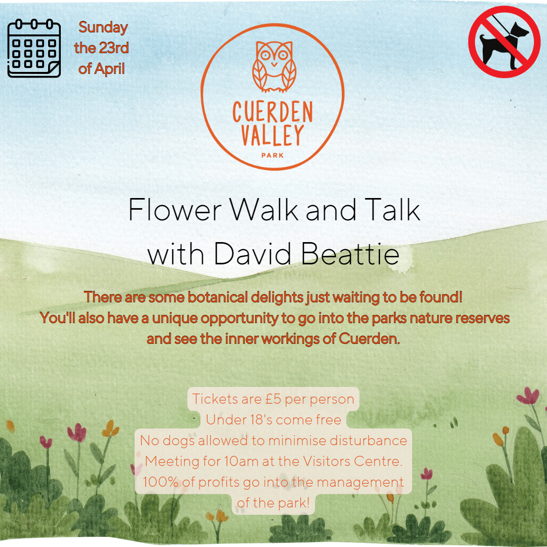 Flower Walk and Talk with David Beattie