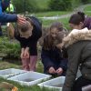 Cuerden Wildlife Weeks - River Fun Days – Wednesday 28th of May - Image 2