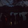 Bat Night Walk and Talk with David Beattie - 27th of May - Image 5