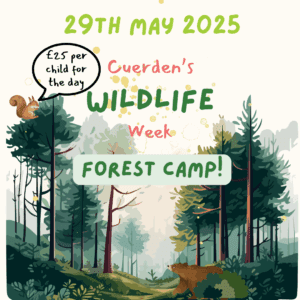 Cuerden Wildlife Week - Forest Camp -  Thursday 29th of May (5 - 11 year olds)