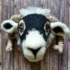 Mrs Bee's Felting - Saturday 17th May with lunch - Image 4