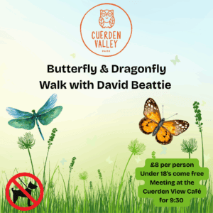 Butterfly & Dragonfly Walk with David Beattie - Saturday 26th of July