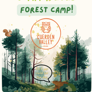 Summer Forest Camps -  July & August 2025 (5 - 11 year olds)