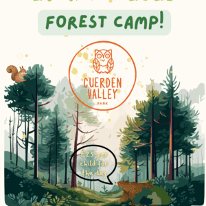 Autumn Forest Camp - Wednesday 29th Oct (5 - 11 year olds)