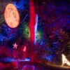 Christmas Lights at Cuerden - Sunday 30th November (Accessibility Slots Available) - Image 6